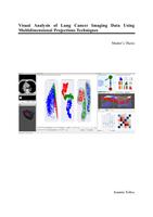 Visual Analysis of Lung Cancer Imaging Data Using Multidimensional Projections Techniques