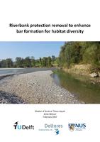 Riverbank protection removal to enhance bar formation for habitat diversity