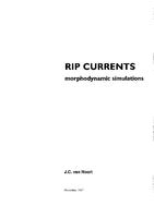 Rip currents, morphodynamic simulations