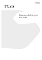 Bijzondere belastingen in tunnels: Eindrapport