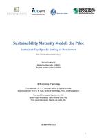 Sustainability Maturity Model: The Pilot Sustainability Agenda-Setting in Business