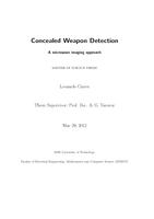 Concealed Weapon Detection: A microwave imaging approach