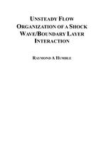 Unsteady Flow Organization of a Shock Wave/Boundary Layer Interaction