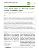 Carbon dioxide fixation by Calvin-Cycle enzymes improves ethanol yield in yeast
