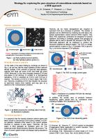 Strategy for exploring the pore structure of cementitious materials based on a DEM approach (poster)