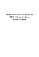 Single molecule experiments on DNA with novel silicon nanostructures