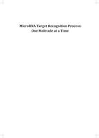MicroRNA Target Recognition Process: One Molecule at a Time
