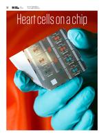 Heart cells on a chip