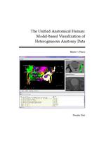 The Unified Anatomical Human: Model-based Visualization of Heterogeneous Anatomy Data