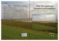 Tidal flat landscape formation and evolution