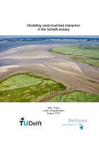 Modelling sand-mud-bed interaction in the Scheldt estuary