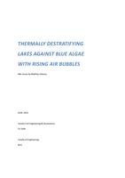 Thermally destratifying lakes against blue algae with rising air bubbles