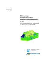 Risicoanalyse ruwwaterkwaliteit pompstation Heumensoord: Deel 2: Beschrijving reactiviteit ondergrond en chemische waterkwaliteit