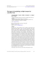 The impact of morphology on light transport in cancellous bone
