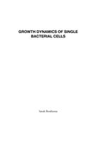 Growth dynamics of single bacterial cells