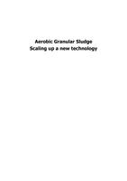 Aerobic granular sludge: Scaling up a new technology