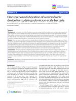 Electron beam fabrication of a microfluidic device for studying submicron-scale bacteria