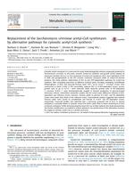 Replacement of the Saccharomyces cerevisiae acetyl-CoA synthetases by alternative pathways for cytosolic acetyl-CoA synthesis