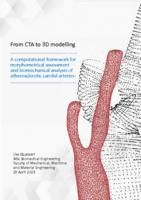 From CTA to 3D modelling: A computational framework for morphometrical assessment and biomechanical analysis of atherosclerotic carotid arteries