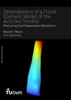 Development of a Finite Element Model of the Achilles Tendon: Evaluating Local Displacement Estimation