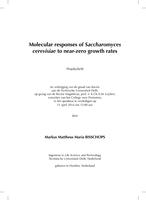 Molecular responses of Saccharomyces cerevisiae to near-zero growth rates