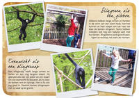 The Apelication: An educational concept for children at primate park Apenheul