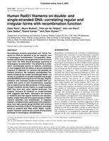 Human Rad51 filaments on double- and single-stranded DNA: Correlating regular and irregular forms with recombination function