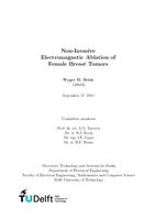 Non-Invasive Electromagnetic Ablation of Female Breast Tumors