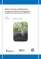 Water quality modelling of a mangrove system in Singapore