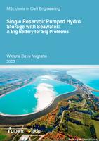 Single Reservoir Pumped Hydro Storage with Seawater