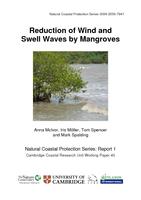 Reduction of Wind and Swell Waves by Mangroves