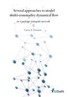 Several approaches to model multi-commodity dynamical flow