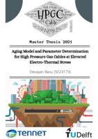 Aging Model and Parameter Determination for High Pressure Gas Cables at Elevated Electro-Thermal Stress 