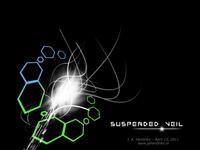 The Suspended Veil (icoonia)