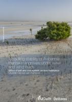 Modelling stability of Avicennia marina mangroves under wave and wind loads