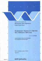 Morphodynamic response of a tidal inlet after a reduction in basin area: Numerical simulation of hydro- and morphodynamics of the mesotidal inlet 