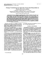 Energy Transduction by Anaerobic Ferric Iron Respiration in Thiobacillus ferrooxidans