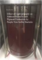 Effect of Light Intensity on Nutrient Removal and Pigment Production by Purple Non-Sulfur Bacteria