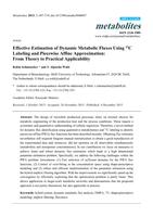 Effective Estimation of Dynamic Metabolic Fluxes Using 13C Labeling and Piecewise Affine Approximation: From Theory to Practical Applicability