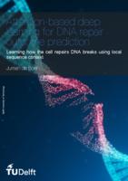 Attention-based deep learning for DNA repair outcome prediction