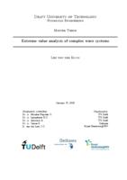 Extreme value analysis of complex wave systems