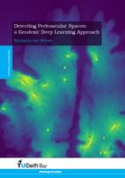 Detecting Perivascular Spaces: a Geodesic Deep Learning Approach