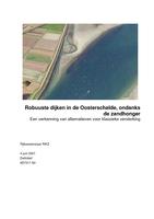 Robuuste dijken in de Oosterschelde, ondanks de zandhonger: Een verkenning van alternatieven voor klassieke versterking