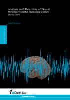 Analysis and Detection of Neural Synchrony in the Prefrontal Cortex