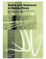 Scales and structures in bubbly flows. Experimental analysis of the flow in bubble columns and in bubbling fluidized beds