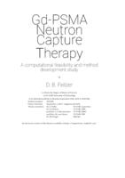 Gd-PSMA Neutron Capture Therapy