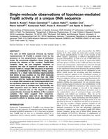 Single-molecule observations of topotecan-mediated TopIB activity at a unique DNA sequence