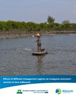 Effects of different management regimes on mangrove ecosystem services in Java, Indonesia