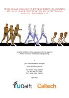 From Human Walking to Bipedal Robot Locomotion