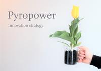 Innovation Strategy for Pyropower